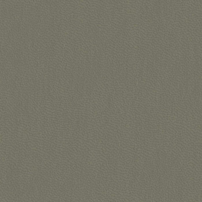 Nuba_9082_Lychen