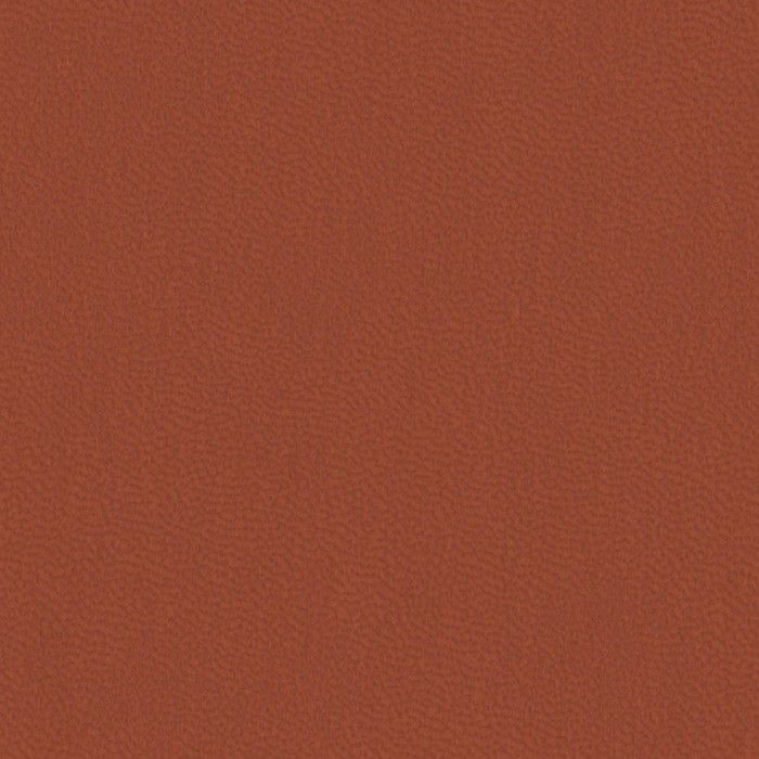 Nuba_9083_Russet